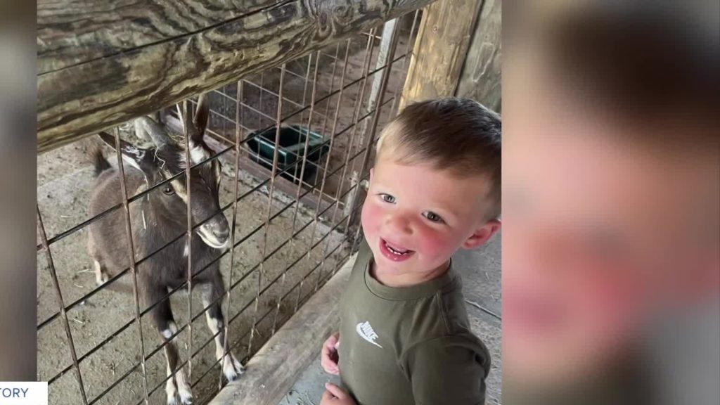 KY toddler with brain tumor celebrates birthday with monster truck party after diagnosis