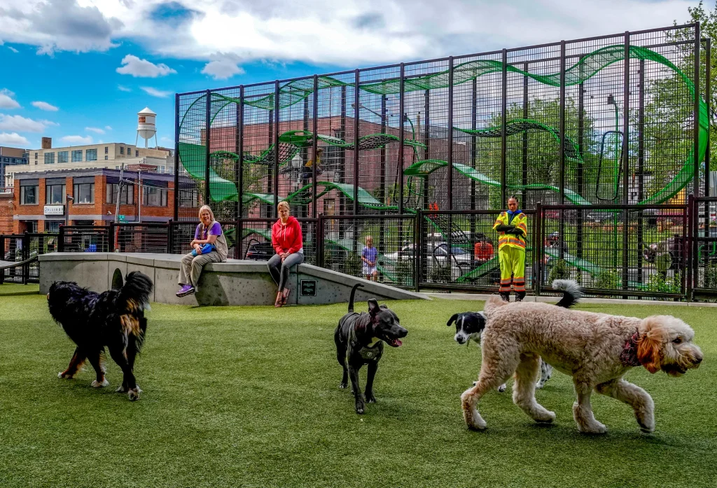 A New Dog Park Is Coming to a Florida City — and It’s Controversial