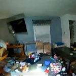 2 kids found eating 'raw, spoiled meat' hiding next to bed after mom abandoned them days earlier: Police say