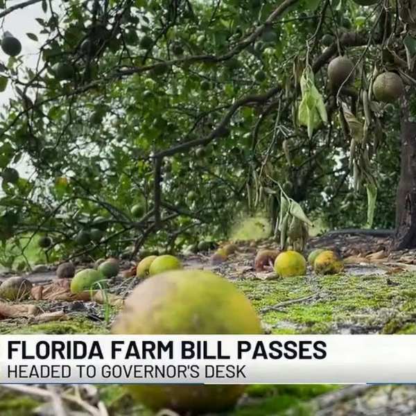 Farm-to-school bill clears Senate