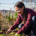 Nearly $3M in agricultural loans approved across Kentucky