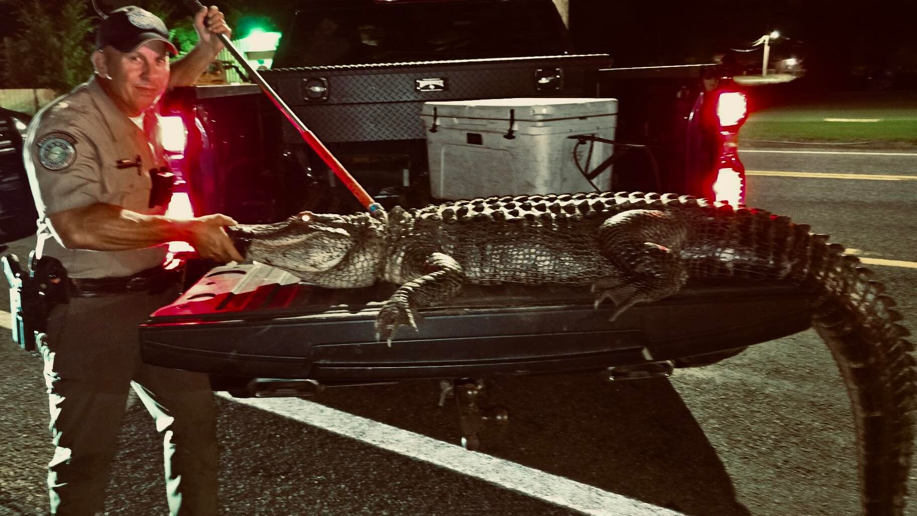Couple crashes into 12-foot alligator in Texas, prompting game wardens to act