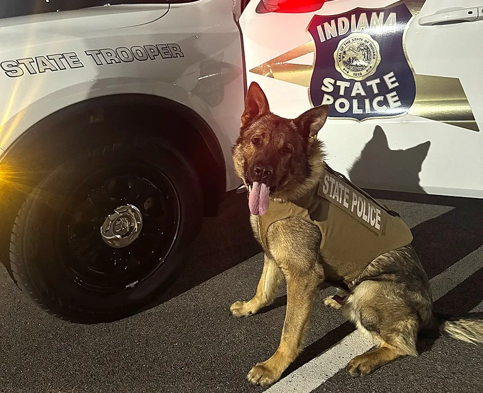 Photo of K-9 Enzo provided by Indiana State Police.