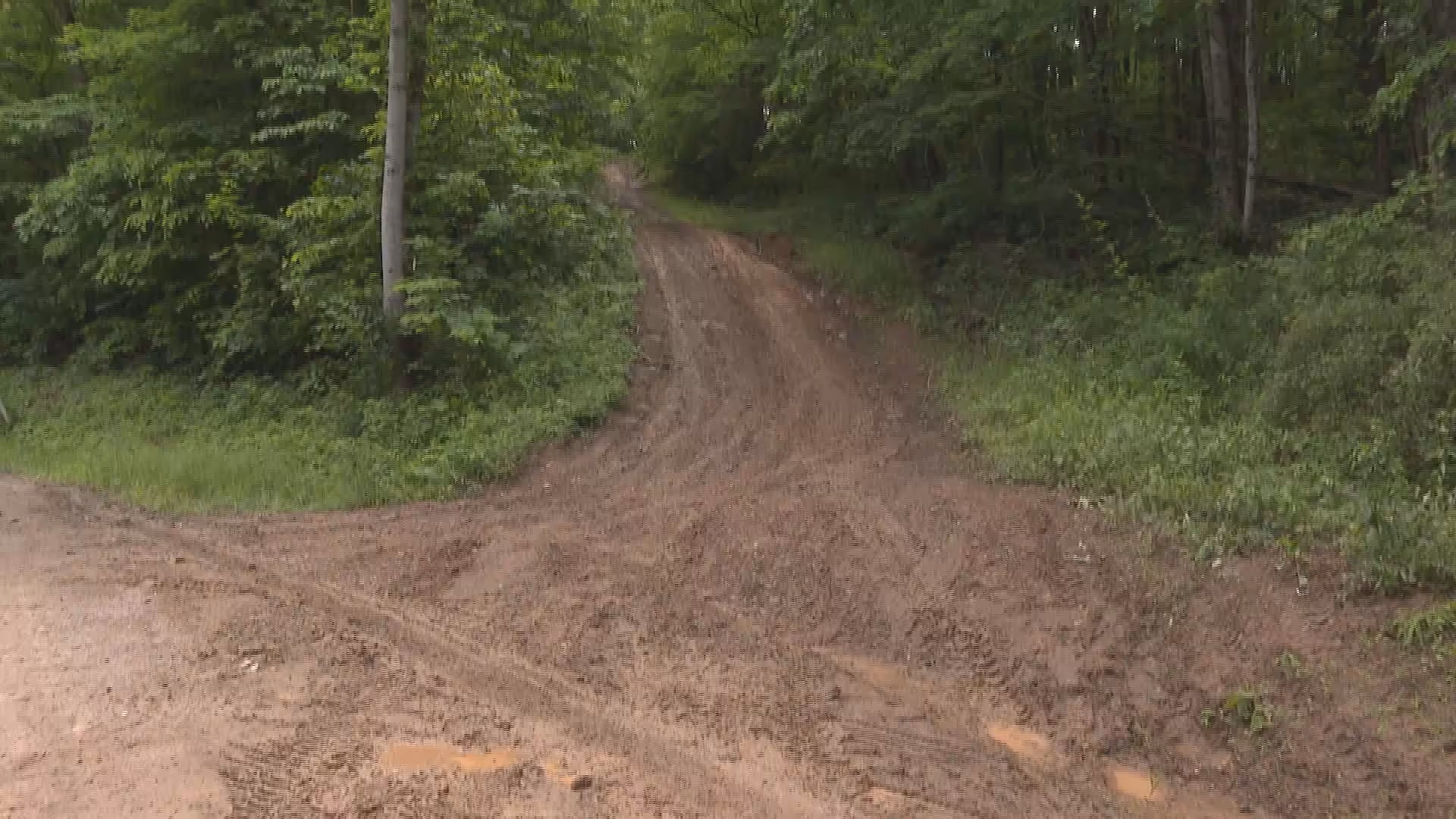36 UTV Riders Rescued After Rising Water, Fallen Trees Trap Groups in Kentucky