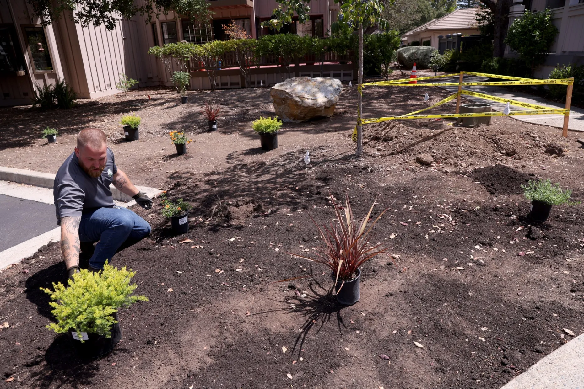 K & D Landscaping manager Daniel Nemire checks on a native plant installation at the Villas of Almaden in San Jose, Calif., on Thursday, August 20, 2026